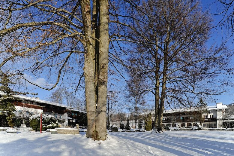 Stolls Hotel Alpina