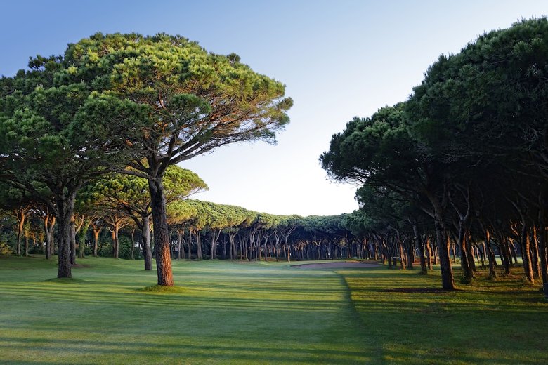 Hotel La Costa Golf & Beach Resort