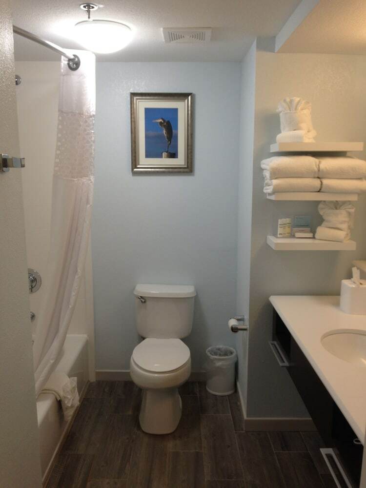 Hotel Hampton Inn Tampa-rocky Point