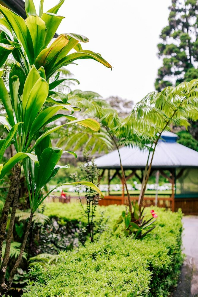 Bed & Breakfast Kilauea Lodge And Restaurant