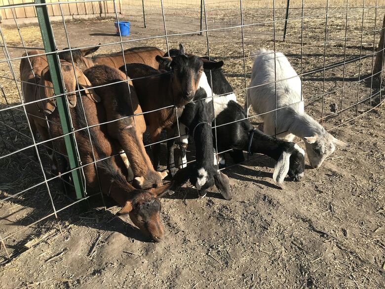 Good Medicine Lodge Bed & Breakfast