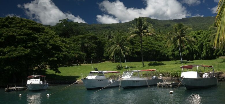 Hotel Taveuni Dive Resort