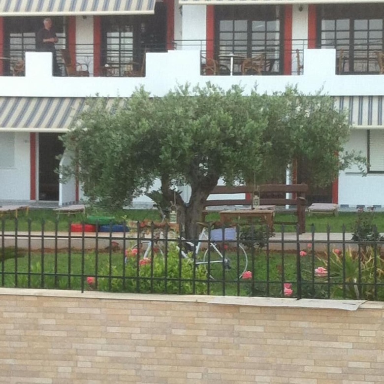 Hotel Triton