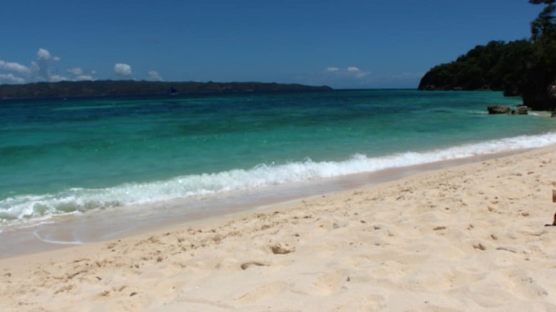 Hotel Green Monkey Resort