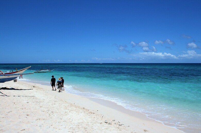 Hotel Green Monkey Resort