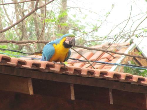 Hostal Eco Pousada Villa Verde