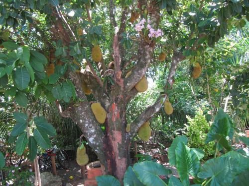 Hostal Eco Pousada Villa Verde