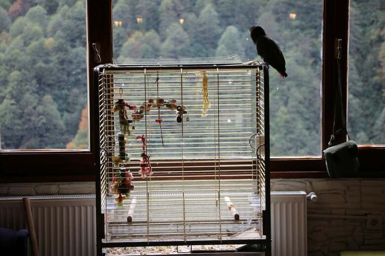 Hotel Ayder Doga Resort