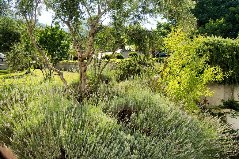 Apartamentos Villa Lavanda