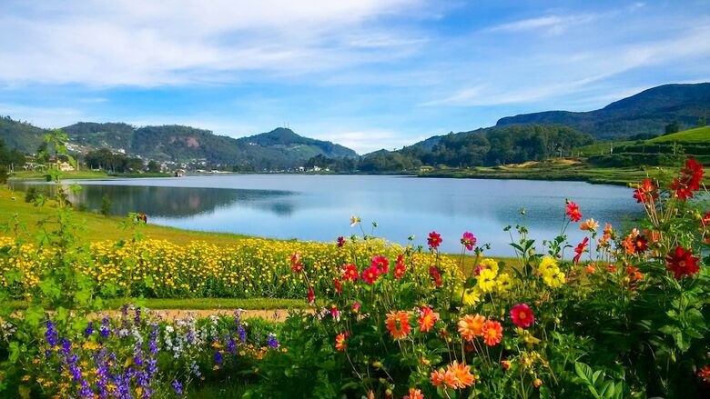 Villa Tea Fields