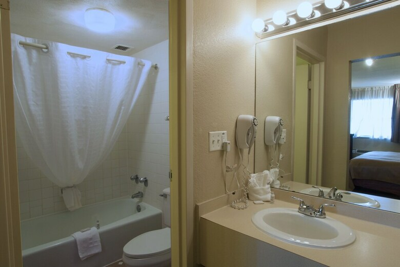 Hotel Lamplighter Inn & Suites - North