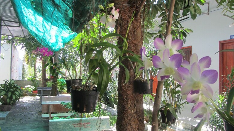 Hotel Duc Thao Guest House