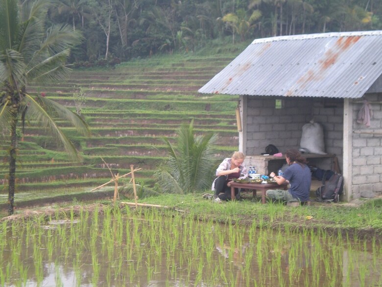 Hotel Tepi Sawah Lodge