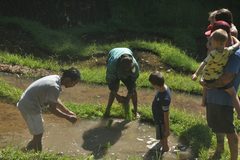 Hotel Tepi Sawah Lodge