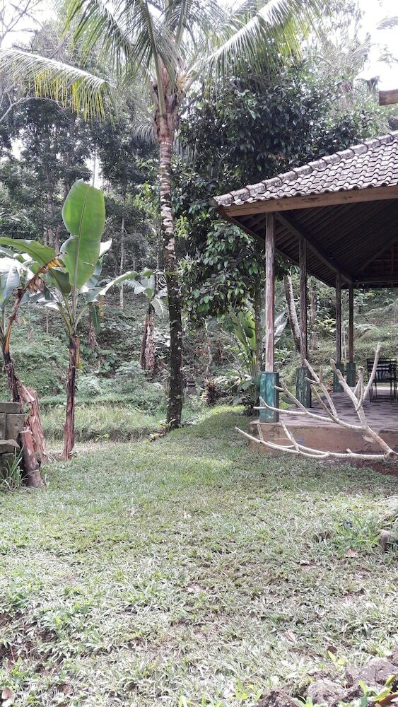 Hotel Tepi Sawah Lodge