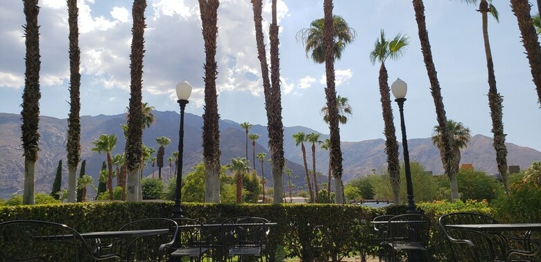 Motel Ivy Palm Resort