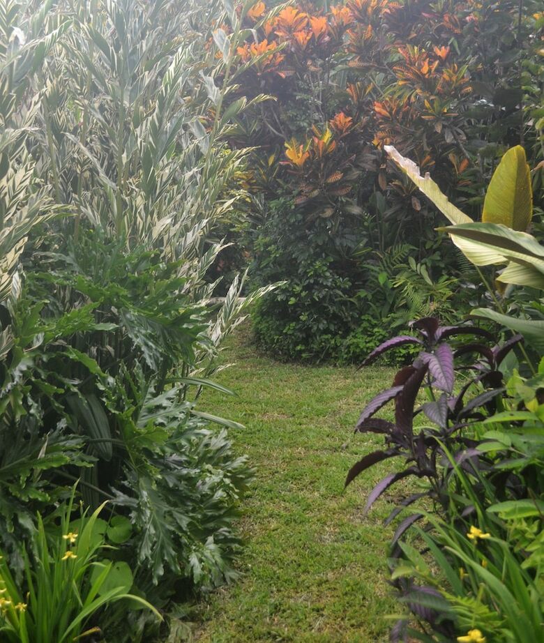Bed & Breakfast Eden Atenas