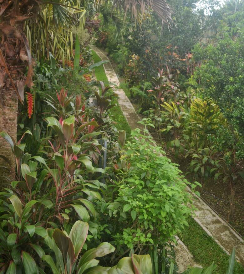 Bed & Breakfast Eden Atenas