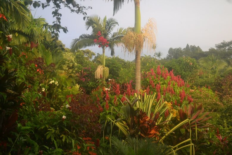 Bed & Breakfast Eden Atenas