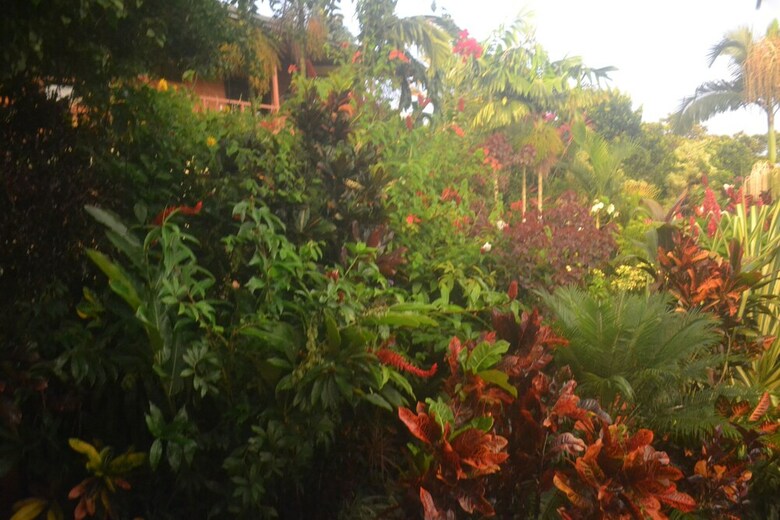 Bed & Breakfast Eden Atenas