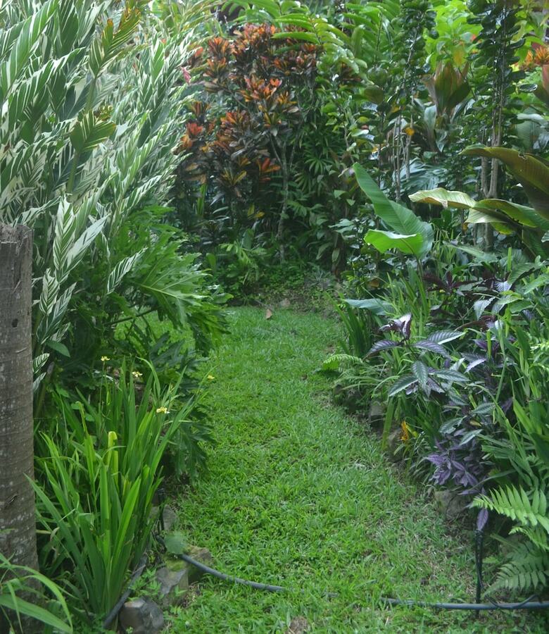 Bed & Breakfast Eden Atenas