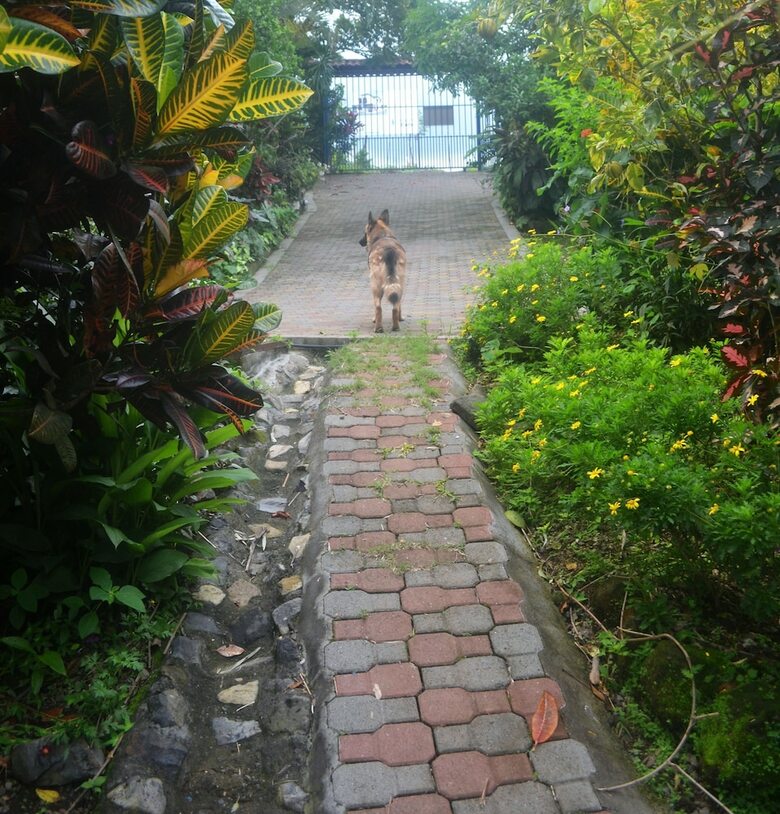 Bed & Breakfast Eden Atenas