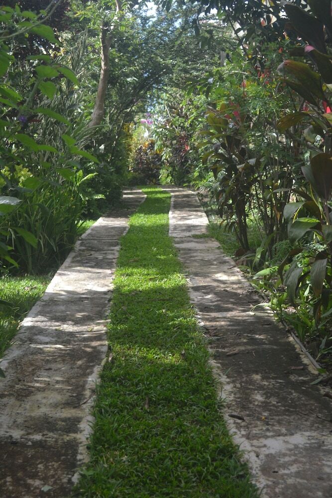 Bed & Breakfast Eden Atenas