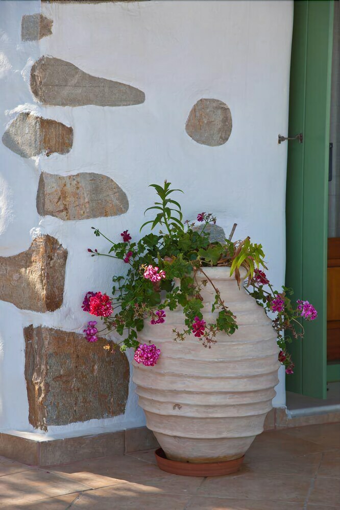 Apartamentos Antiparos View