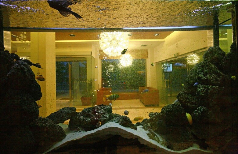 Hotel Flisvos