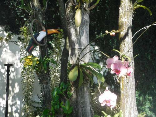 Nature Paradise B&B