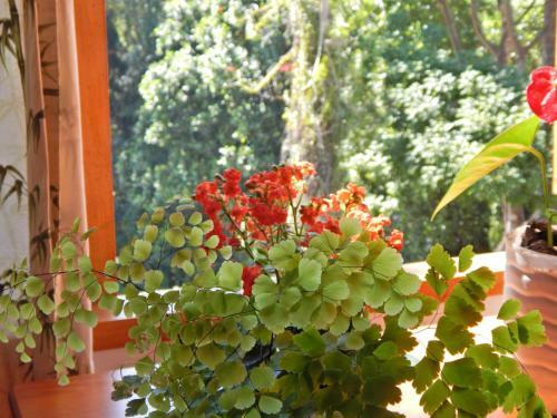 Bed & Breakfast Casa S�o Conrado