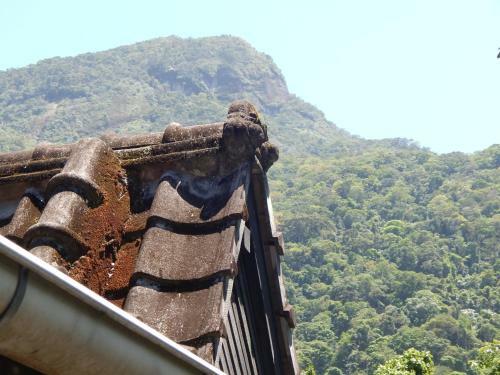 Bed & Breakfast Casa S�o Conrado