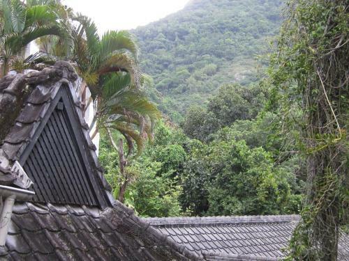 Bed & Breakfast Casa S�o Conrado