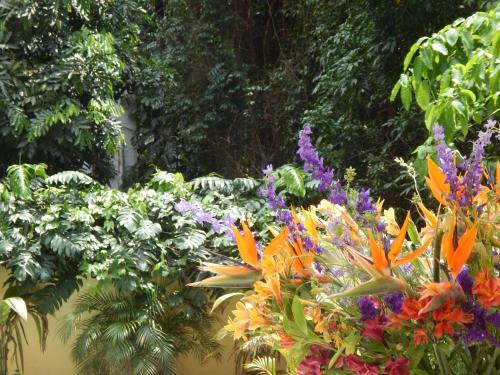 Bed & Breakfast Casa S�o Conrado