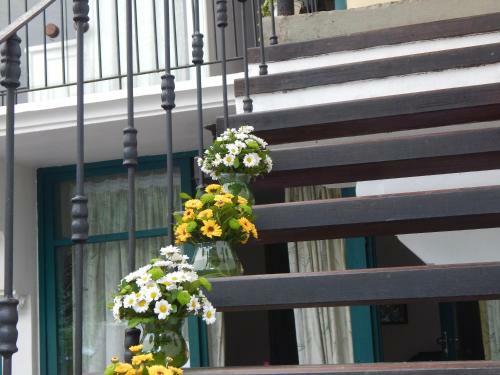 Bed & Breakfast Casa S�o Conrado