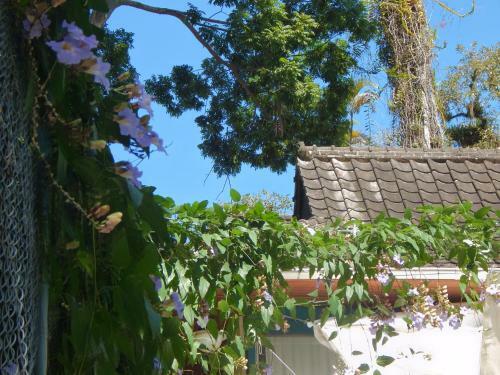 Bed & Breakfast Casa S�o Conrado