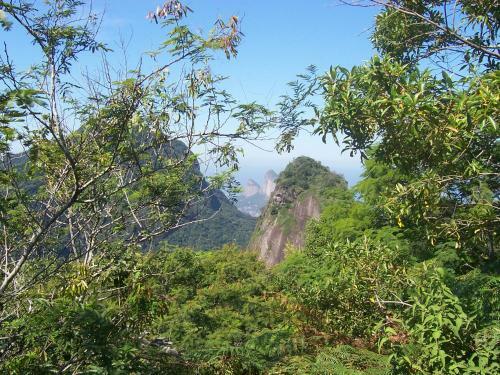Bed & Breakfast Casa S�o Conrado
