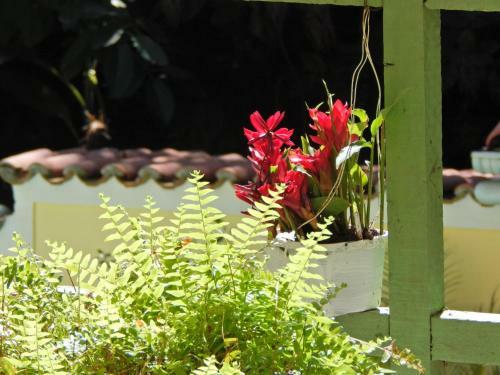 Bed & Breakfast Casa S�o Conrado