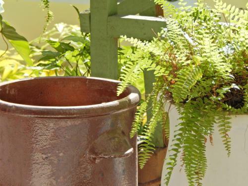 Bed & Breakfast Casa S�o Conrado