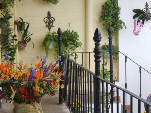 Bed & Breakfast Casa S�o Conrado