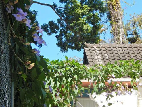 Bed & Breakfast Casa S�o Conrado