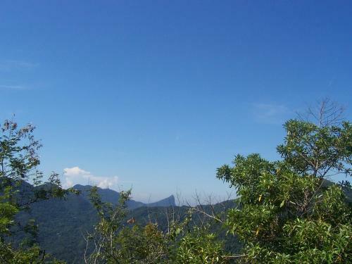 Bed & Breakfast Casa S�o Conrado