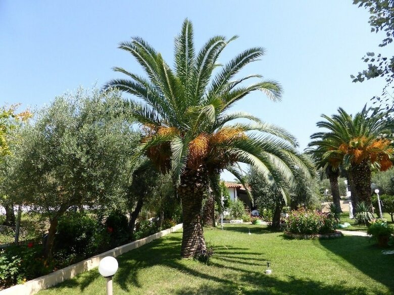 Aparthotel Olympic Bibis Hotel
