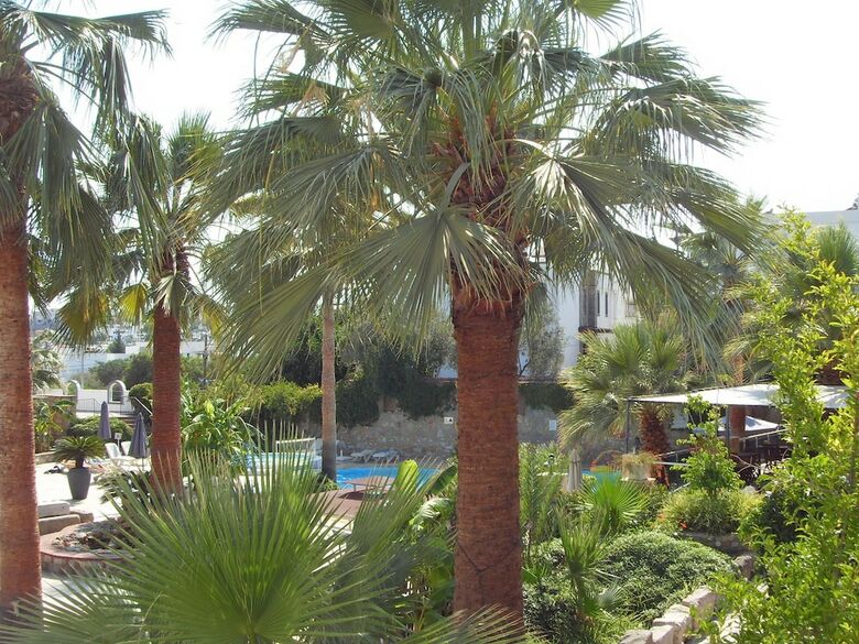 La Rosa Hotel