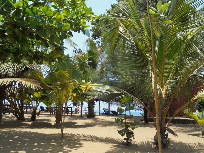 Hotel New Robinson Plage