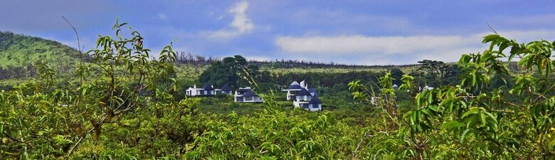 The Royal Palm Hotel