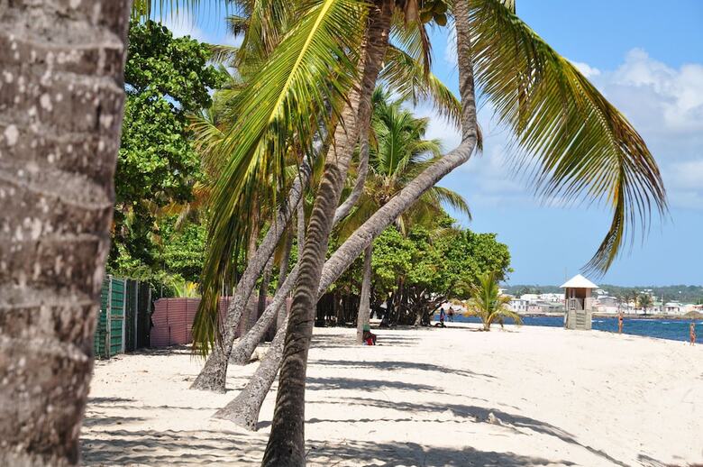 Residencia R�sidence Tropicale