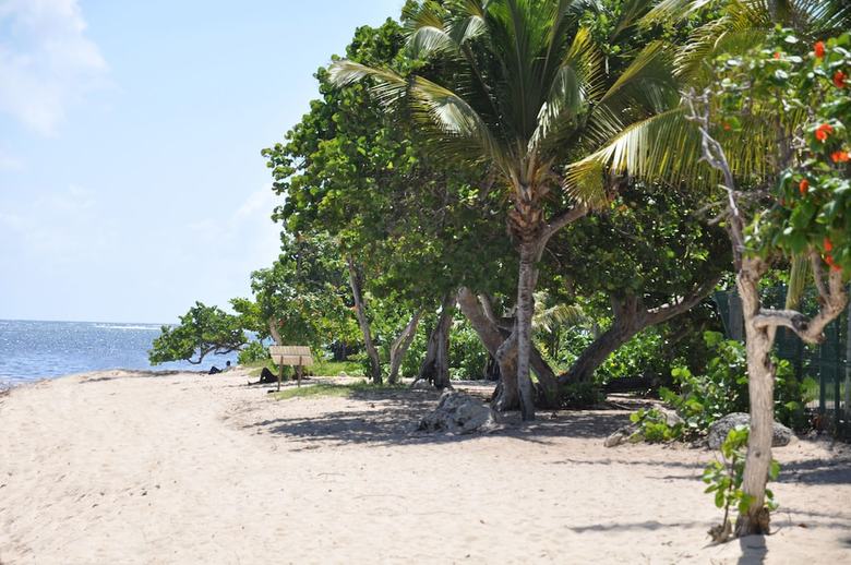 Residencia R�sidence Tropicale