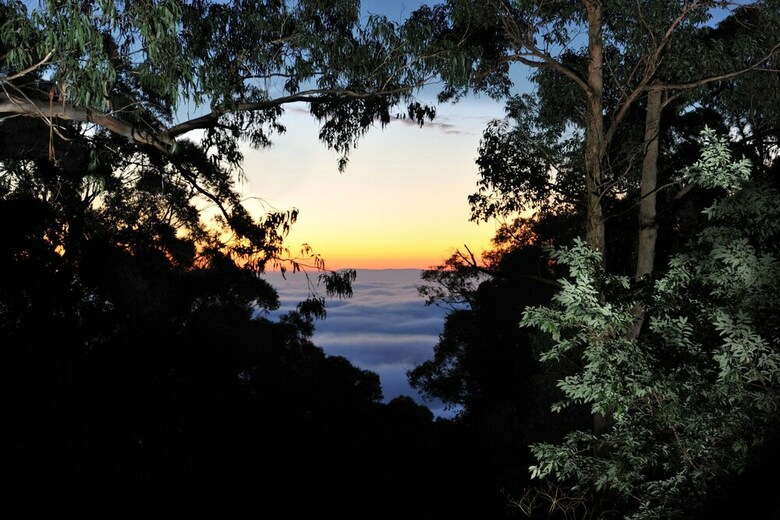 Misty Woods Retreat - Olinda