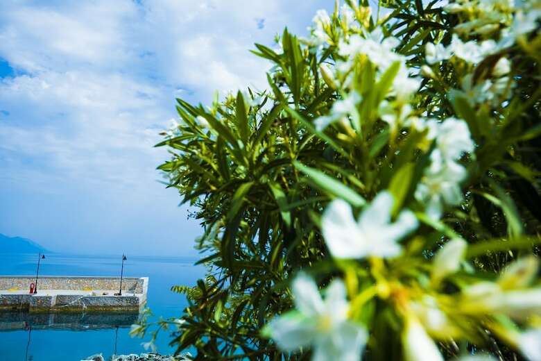 Apartamentos Miradouro Seafront Residences